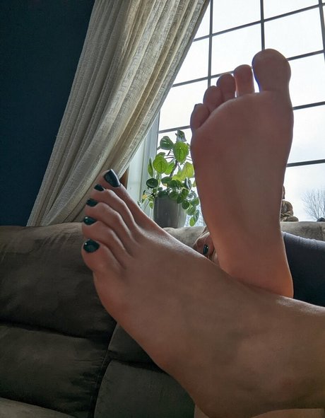 DominantBasset model nice pics