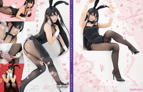 lapinangelia profile pic