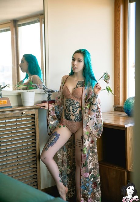 giadasuicide nice star gallery