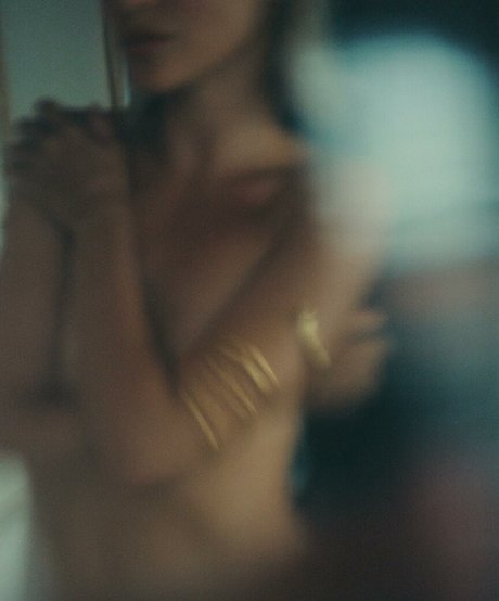 Li bash pornstar naked photos