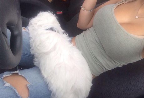 Specialmoons star art image