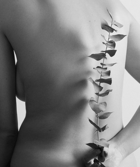 Dpoublan star pornographic galleries