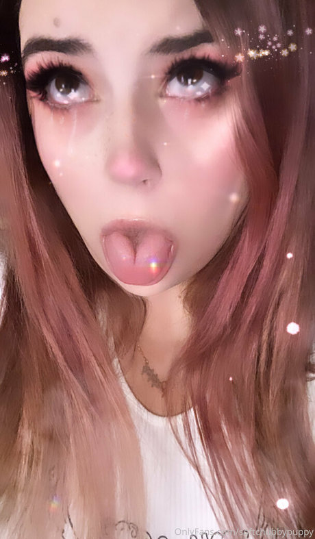 Softchubbypuppy art star pictures