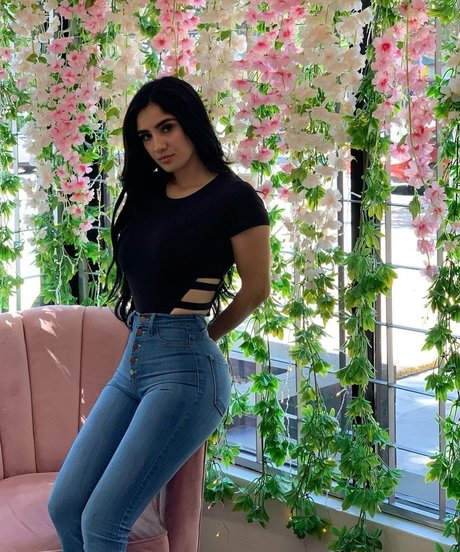 dixiemtzz sex pornstar galleries