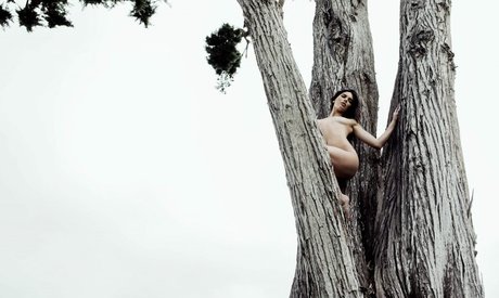 trimmed onlyfans porno image