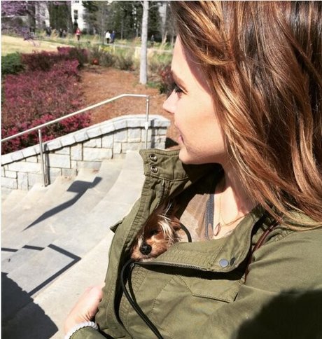 Aimee Richelle Teegarden nudes actress image