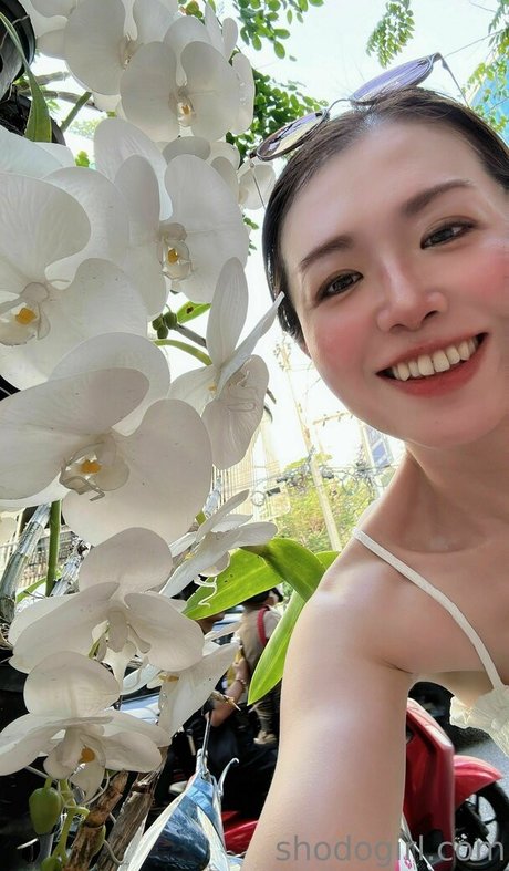 shodogirl art star gallery