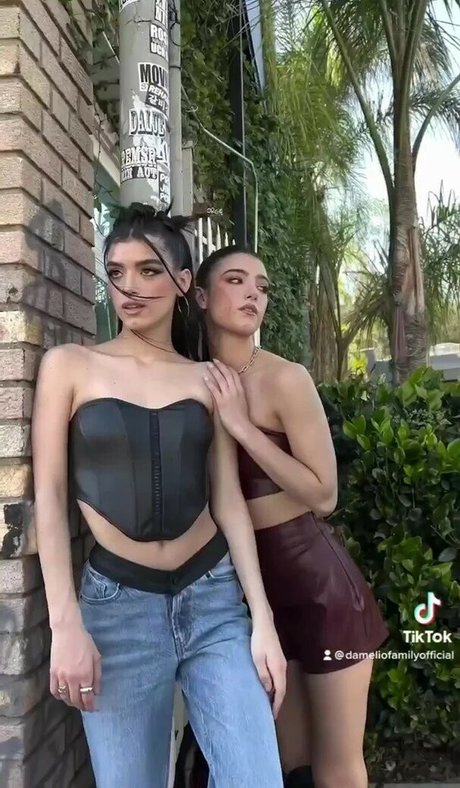 Dixie D Amelio star hd gallery