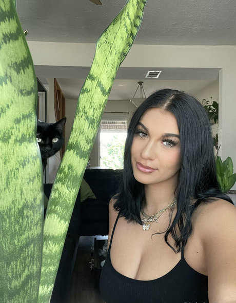 meandmommy model art galleries