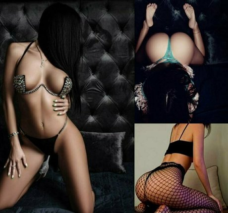 stormibee model high quality images