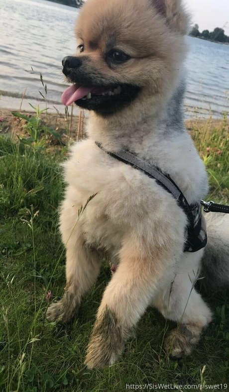 armpit licking onlyfans hot sexy pics