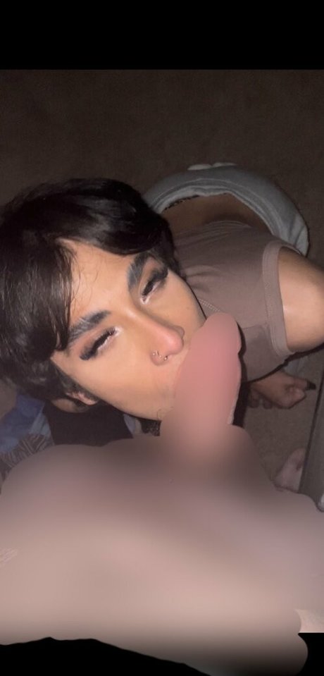 ts avery69 free pornstar gallery