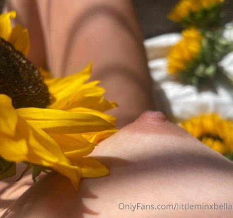 littleminxbella nudes pornstar photo