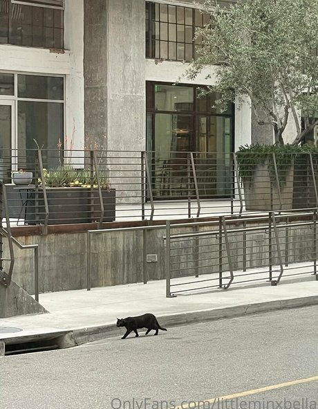 bbc doggystyle onlyfans sexy nude pictures