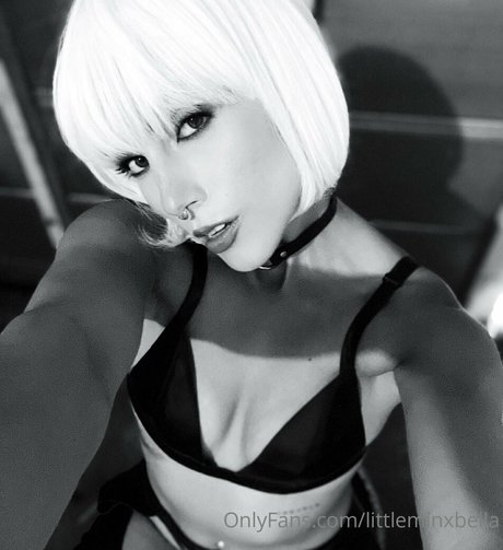 littleminxbella nude pornstar pictures