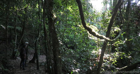 cosplay naked onlyfans nude photo