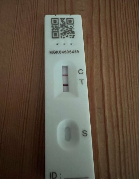 sulis minerva profile pic