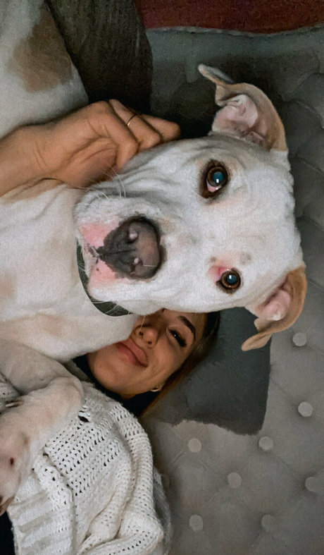 molly4 20 top star photo