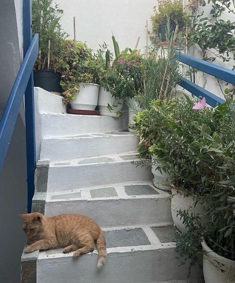 Gabriella Davies model top image