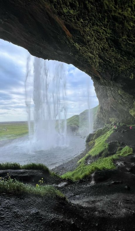 misswarmjfree art star archive