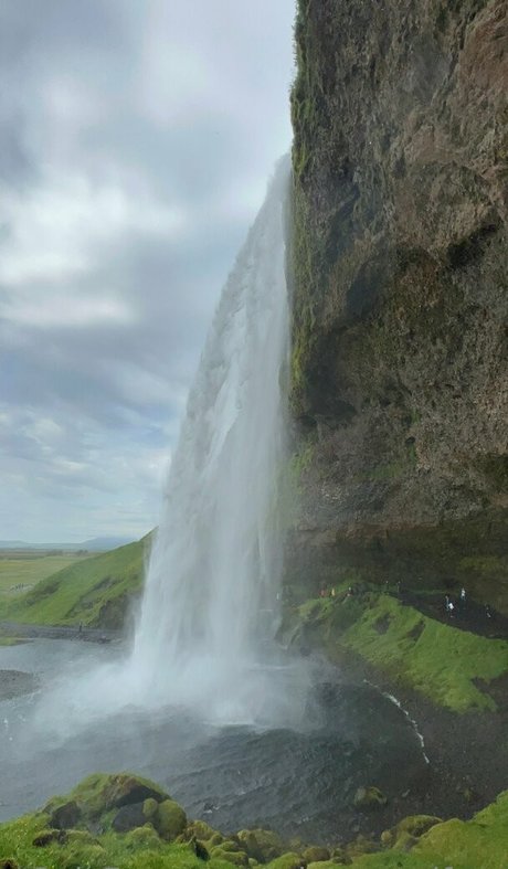 misswarmjfree star hot gallery