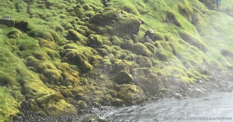 misswarmjfree star art pic