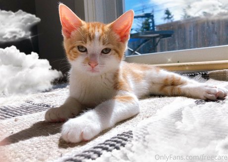 freecare model nudes pic