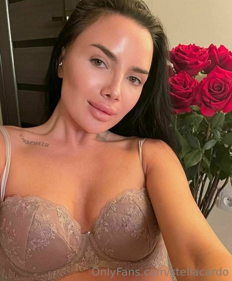 stellacardo perfect star pictures