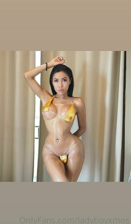 ladyboyxmos pornstar perfect pics