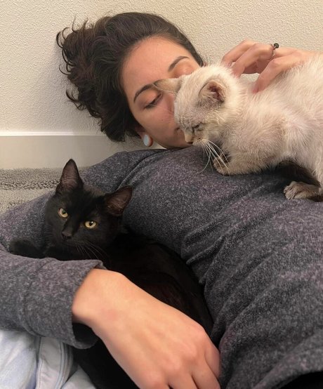 Yana Mori pornstar pretty galleries