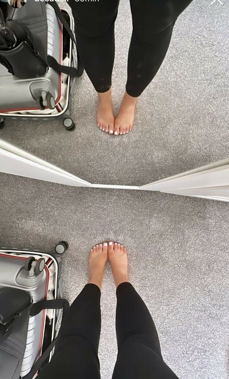 Decadex high quality model img