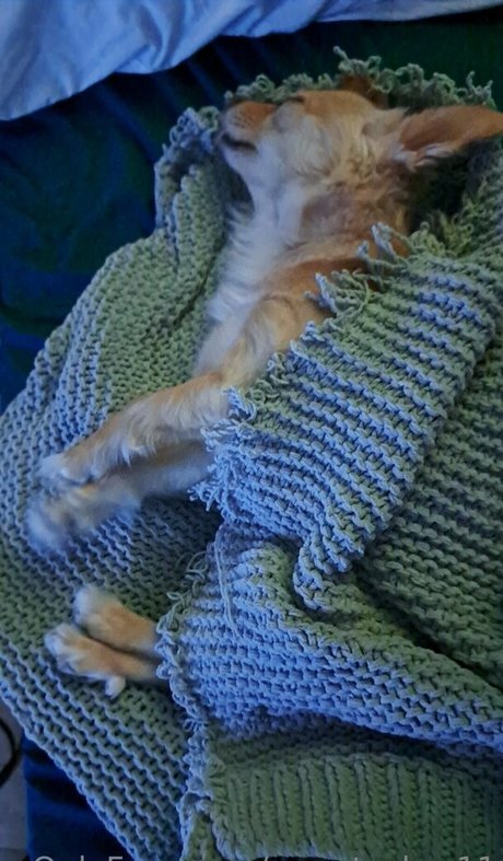 sweetcakes11 pornstar art archive