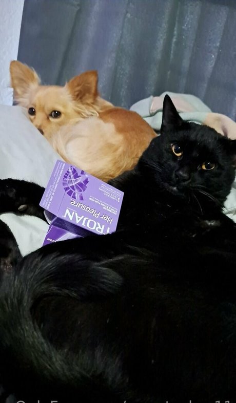 sweetcakes11 model naked gallery