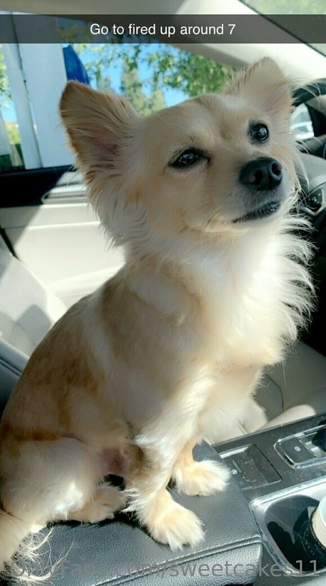 sweetcakes11 nudes actress gallery