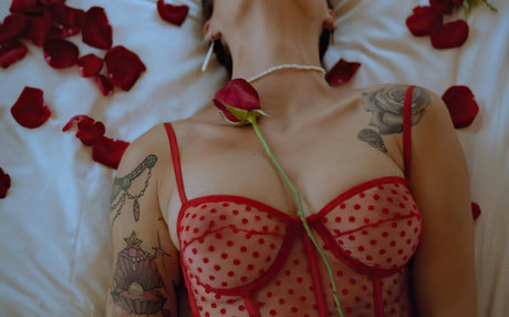 Miss lady bug star sexy gallery