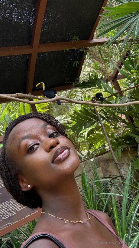 traceycindyxxx pornstar perfect photo