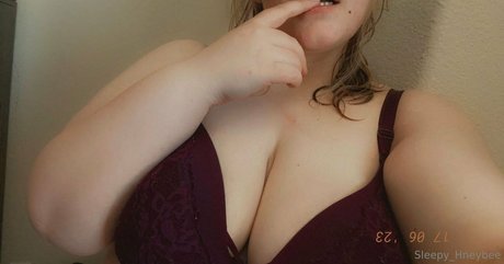 sleepy hneybee model exclusive img