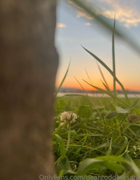 deargoddesssara sex pornstar img