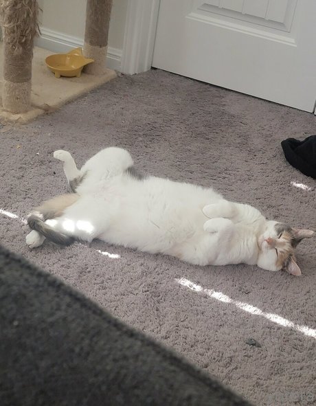 yureta2 pornstar erotic photo