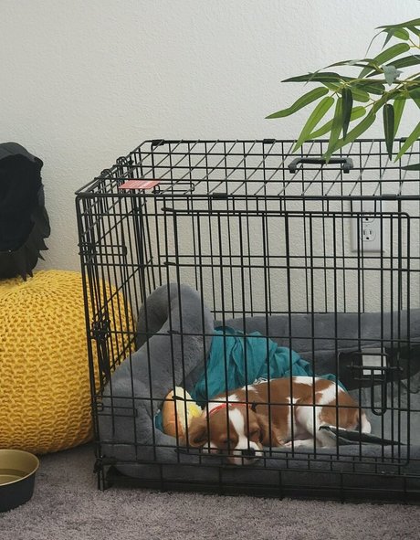 yureta2 model beautiful archive