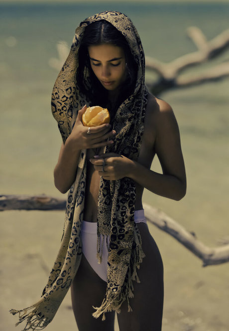 Herbert Twins art star image