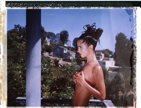 Herbert Twins erotic actress picture