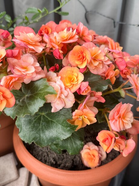 chatting onlyfans art nude pics