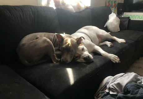 tantalizingtrifecta high quality actress images