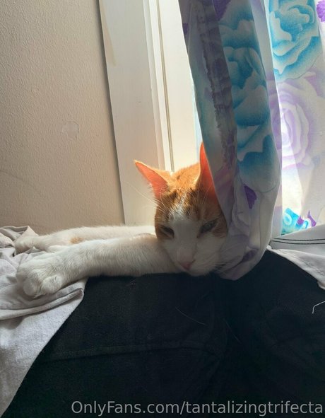 tantalizingtrifecta thumbnail