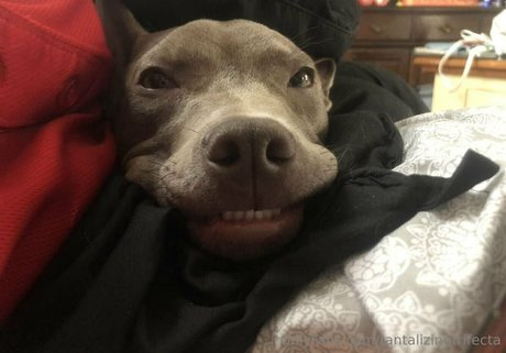 tantalizingtrifecta hot star img