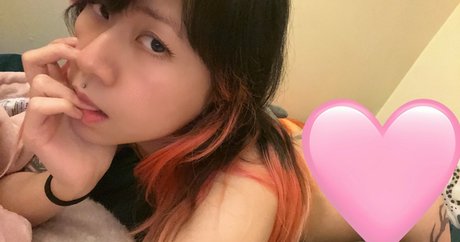 alexafawn free pornstar adult archive