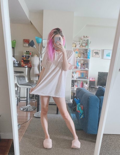 Danisaurz free star pictures