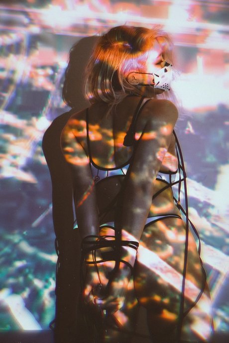 Danisaurz star top images