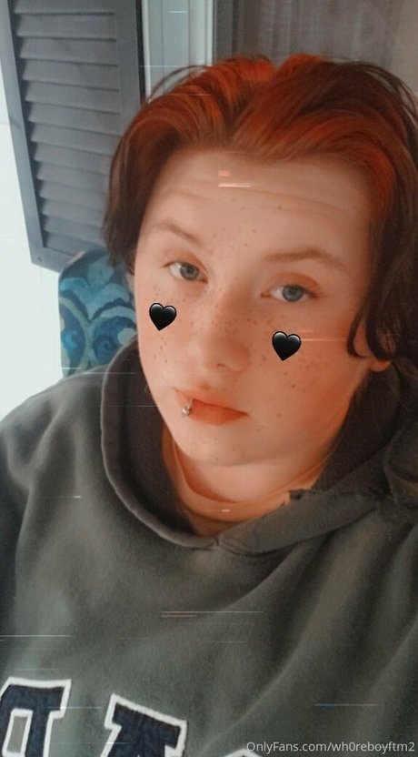 ftmincubus2 best model img